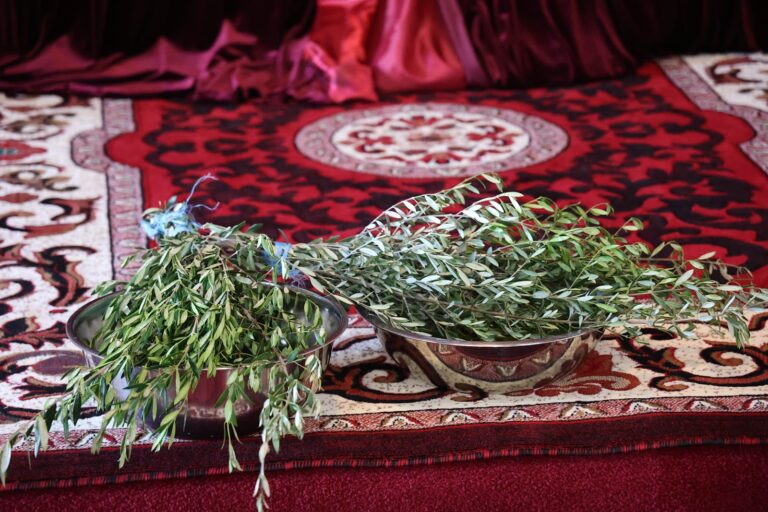 Olive branches prepared for the blessing